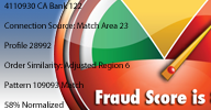 fraud detection systems